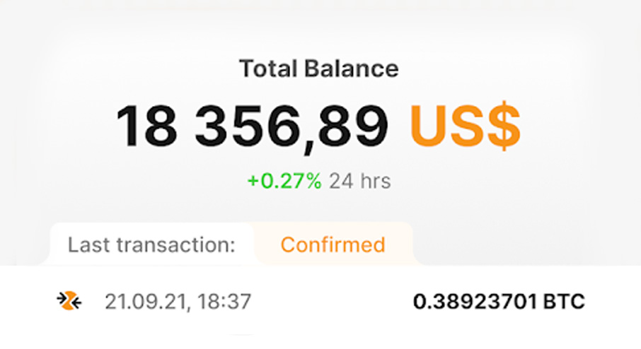 Bitcoin holding illustration